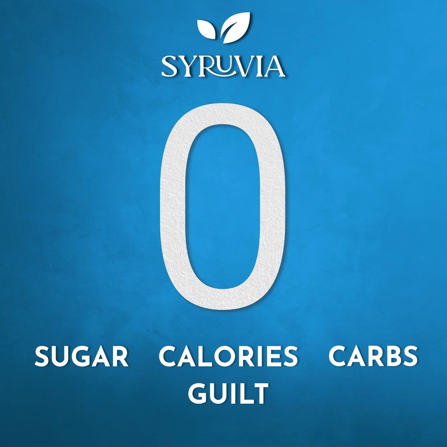Sugar Free Cookie Butter Coffee Syrup-4