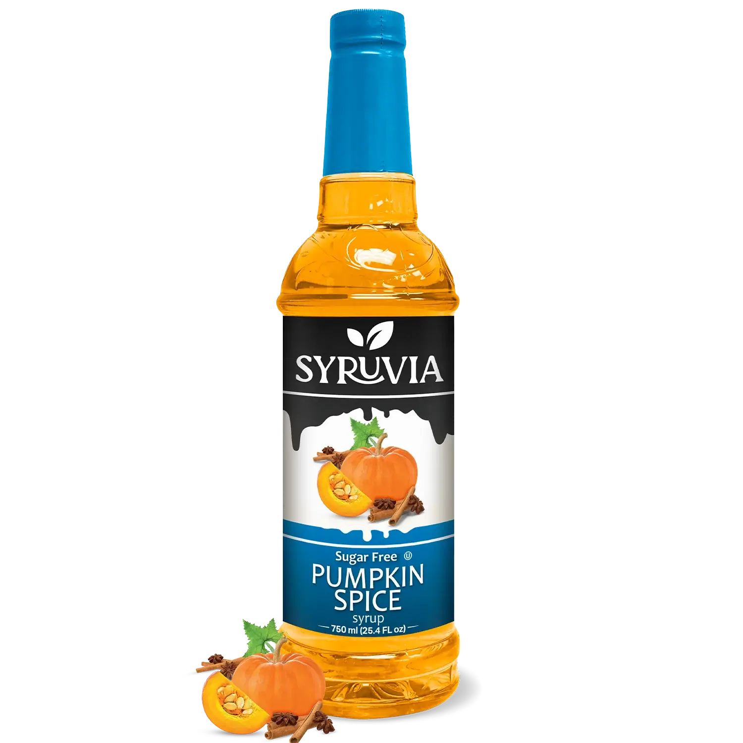 Sugar Free Pumpkin Spice Syrup-0
